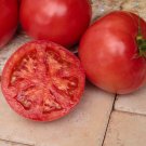 50 Seeds Bradley Tomato Juicy Tomatoe Vegetable Garden Edible Food Fresh For Garden