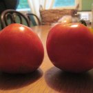50 Seeds Booty Tomato Juicy Tomatoe Vegetable Garden Edible Food Fresh For Garden
