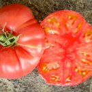 50 Seeds Boondocks Tomato Juicy Tomatoe Vegetable Garden Edible Food Fresh For Garden