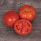 50 Seeds Bobcat Tomato Juicy Tomatoe Vegetable Garden Edible Food Fresh For Garden