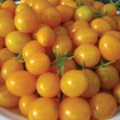 50 Seeds Blondkopfchen Tomato Juicy Tomatoe Vegetable Garden Edible Food Fresh For Garden