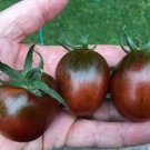 50 Seeds Black Maurtomato Juicy Tomatoe Vegetable Garden Edible Food Fresh For Garden