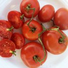 50 Seeds Bison Tomato Juicy Tomatoe Vegetable Garden Edible Food Fresh For Garden