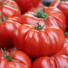 50 Seeds Big Red Tomato Juicy Tomatoe Vegetable Garden Edible Food Fresh For Garden
