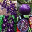 50 Seeds Purple Cherry Tomato Juicy Tomatoe Vegetable Garden Edible Food Fresh For Garden