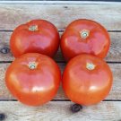 50 Seeds Bhn 602 Tomato Juicy Tomatoe Vegetable Garden Edible Food Fresh For Garden