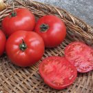50 Seeds Bhn 589 Tomato Juicy Tomatoe Vegetable Garden Edible Food Fresh For Garden