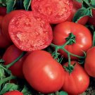 50 Seeds Better Bh Tomato Juicy Tomatoe Vegetable Garden Edible Food Fresh For Garden