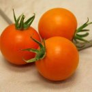 50 Seeds Bellintomato Juicy Tomatoe Vegetable Garden Edible Food Fresh For Garden