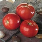 50 Seeds Bella Rosa Tomato Juicy Tomatoe Vegetable Garden Edible Food Fresh For Garden
