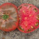 50 Seeds Bear Creek Tomato Juicy Tomatoe Vegetable Garden Edible Food Fresh For Garden