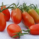 50 Seeds Baby Grape Tomato Juicy Tomatoe Vegetable Garden Edible Food Fresh For Garden 50 Seeds Baby Grape Tomato Juicy Tomatoe Vegetable Garden Edible Food Fresh For Garden
