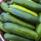 25 Seeds Sugar Crunch Cucumber Planting Edible Food Garden Fresh For Garden