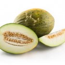 15 Seeds Santa Cla Melon Garden Fruit Healthy Planting Summer Food Fresh For Garden 15 Seeds Santa Cla Melon Garden Fruit Healthy Planting Summer Food Fresh For Garden