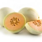 15 Seeds Orange Flesh Melon Garden Fruit Healthy Planting Summer Food Fresh For Garden 15 Seeds Orange Flesh Melon Garden Fruit Healthy Planting Summer Food Fresh For Garden