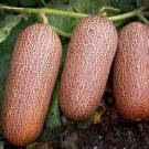 25 Seeds Sikkim Cucumber Planting Edible Food Garden Fresh For Garden