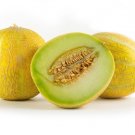 15 Seeds Lemon Drop Melon Garden Fruit Healthy Planting Summer Food Fresh For Garden 15 Seeds Lemon Drop Melon Garden Fruit Healthy Planting Summer Food Fresh For Garden
