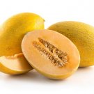 15 Seeds Hammelon Garden Fruit Healthy Planting Summer Food Fresh For Garden 15 Seeds Hammelon Garden Fruit Healthy Planting Summer Food Fresh For Garden