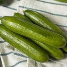 25 Seeds Persian Cucumbers Planting Edible Food Garden Fresh For Garden