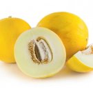 15 Seeds Golden Dewlicio Melon Garden Fruit Healthy Planting Summer Food Fresh For Garden 15 Seeds Golden Dewlicio Melon Garden Fruit Healthy Planting Summer Food Fresh For Garden