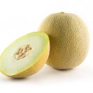 15 Seeds Crenshaw Melon Garden Fruit Healthy Planting Summer Food Fresh For Garden 15 Seeds Crenshaw Melon Garden Fruit Healthy Planting Summer Food Fresh For Garden
