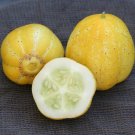25 Seeds Lemon Cucumber Planting Edible Food Garden Fresh For Garden