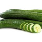 25 Seeds English Cucumbers Planting Edible Food Garden Fresh For Garden 25 Seeds English Cucumbers Planting Edible Food Garden Fresh For Garden