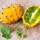15 Seeds Jelly Melon Garden Fruit Healthy Planting Summer Food Fresh For Garden