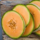 15 Seeds Hales Best Cantaloupe Garden Fruit Healthy Planting Summer Fresh For Garden