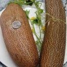 25 Seeds Brown Rsian Cucumbers Planting Edible Food Garden Fresh For Garden