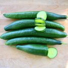 25 Seeds Bella Cucumbers Planting Edible Food Garden Fresh For Garden