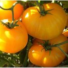 50 Seeds Azoychka Tomato Juicy Vegetable Tomatoe Garden Edible Fresh For Garden