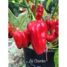 25 Seeds Ajchombo Pepper Seeds Garden Healthy Planting Food Fresh For Garden