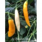 25 Seeds Ajchalluaruro Yellow Pepper Seeds Garden Healthy Planting Food Fresh For Garden 25 Seeds Ajchalluaruro Yellow Pepper Seeds Garden Healthy Planting Food Fresh For Garden