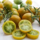 50 Seeds Aunt Rubys German Cherry Tomato Juicy Vegetable Tomatoe Garden Edible Fresh For Garden 50 Seeds Aunt Rubys German Cherry Tomato Juicy Vegetable Tomatoe Garden Edible Fresh For Garden