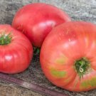 50 Seeds Aubrys Special Pink Tomato Tasty Juicy Vegetable Tomatoe Garden Edible Fresh For Garden 50 Seeds Aubrys Special Pink Tomato Tasty Juicy Vegetable Tomatoe Garden Edible Fresh For Garden