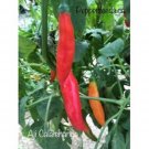 25 Seeds Ajcalatenango Pepper Seeds Seed Garden Healthy Planting Food Fresh For Garden