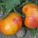 50 Seeds Armenian Tomato Tasty Juicy Vegetable Tomatoe Garden Edible Fresh For Garden