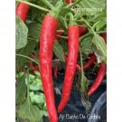 25 Seeds Ajcacho De Carbra Pepper Seed Garden Healthy Planting Food Fresh For Garden 25 Seeds Ajcacho De Carbra Pepper Seed Garden Healthy Planting Food Fresh For Garden