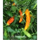 25 Seeds Ajahuachapáu Pepper Seeds Garden Healthy Planting Food Fresh For Garden