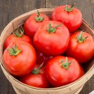50 Seeds Arbason Tomato Tasty Juicy Vegetable Tomatoe Garden Edible Fresh For Garden