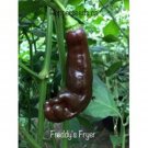25 Seeds Freddys Fryer Pepper Seeds Garden Healthy Planting Food Fresh For Garden