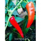 25 Seeds Sweet Red Banana Seeds Garden Healthy Planting Food Fresh For Garden 25 Seeds Sweet Red Banana Seeds Garden Healthy Planting Food Fresh For Garden