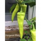 25 Seeds Hungarian Hot Wax Yellow Seeds Garden Healthy Planting Food Fresh For Garden