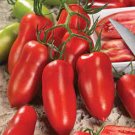 50 Seeds Andiamo Tomato Heirloom Vegetable Tomatoe Garden Edible Fresh For Garden