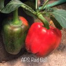 25 Seeds Aps Bell Red Pepper Garden Healthy Planting Fresh For Garden