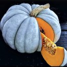 25 Blue Pumpkin Seeds Jarradale Queensland Cinderella Doll Fresh For Garden 25 Blue Pumpkin Seeds Jarradale Queensland Cinderella Doll Fresh For Garden