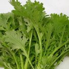 1000 Green Mizuna Mtard Seeds Cangot Duophung Fresh For Garden