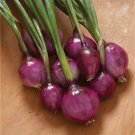 600 Purplette Onion Seed Specialty Onion Non_Gmo Fresh For Garden 600 Purplette Onion Seed Specialty Onion Non_Gmo Fresh For Garden