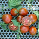 100 Black Truffle Tomato Seeds Indeterminate Nongmo Heirloom Fresh For Garden 100 Black Truffle Tomato Seeds Indeterminate Nongmo Heirloom Fresh For Garden